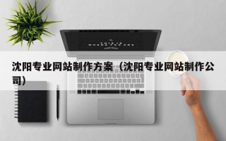 萍乡沈阳专业网站制作方案（沈阳专业网站制作公司）